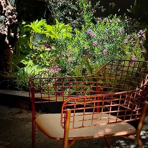 Loquat House Nel Giardino Segreto In Zona Vaticano Appartement